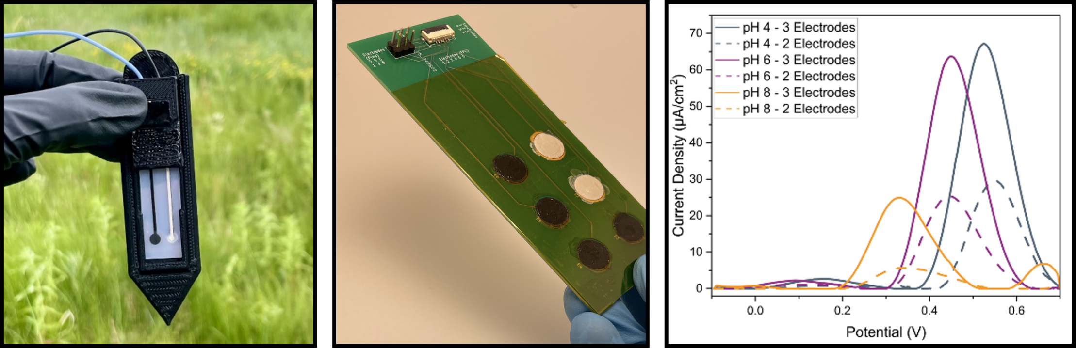 Printed ISE sensors