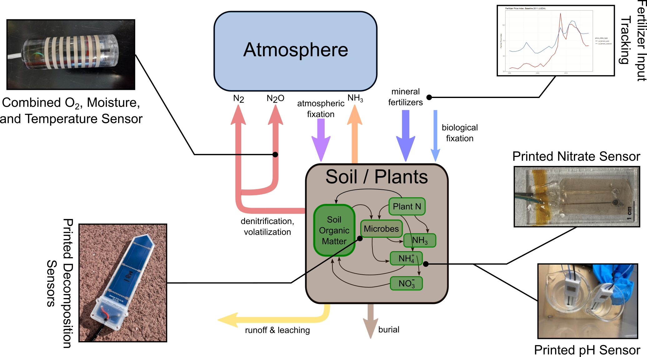 Nitrogen cycle diagram